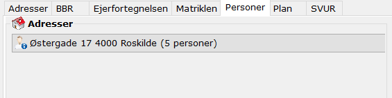 Enkelt_Resultat_vindue_Personer