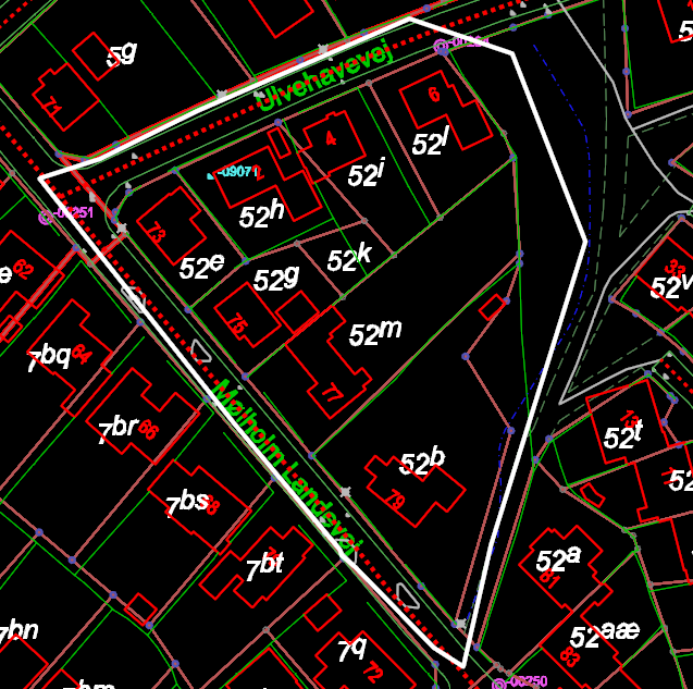 1.4.5.5.01 polygon
